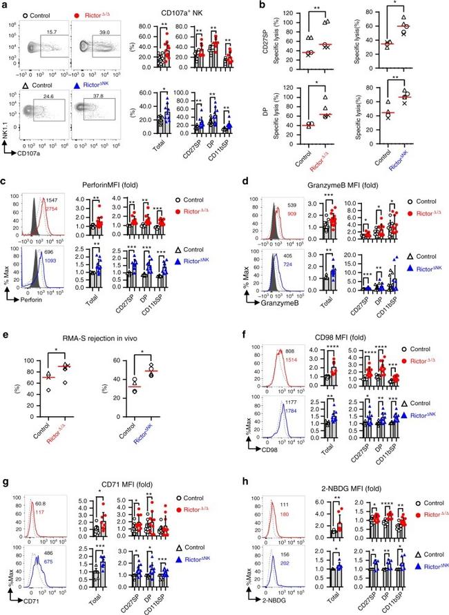 Perforin Antibody in Flow Cytometry (Flow)