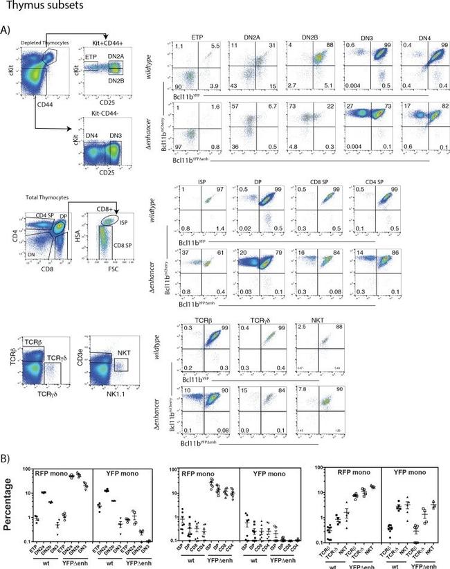 CD3e Antibody in Flow Cytometry (Flow)