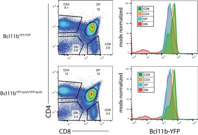 CD4 Antibody in Flow Cytometry (Flow)