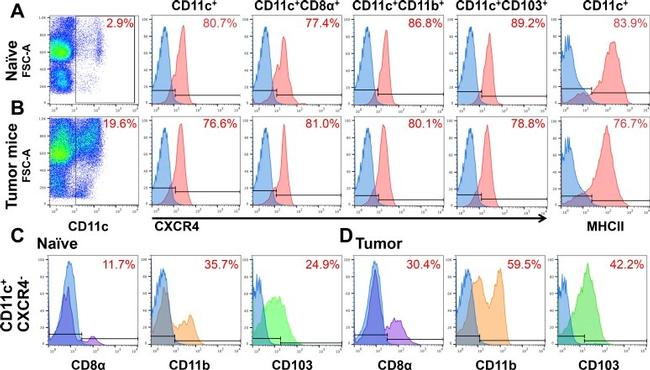 CD184 (CXCR4) Antibody in Flow Cytometry (Flow)