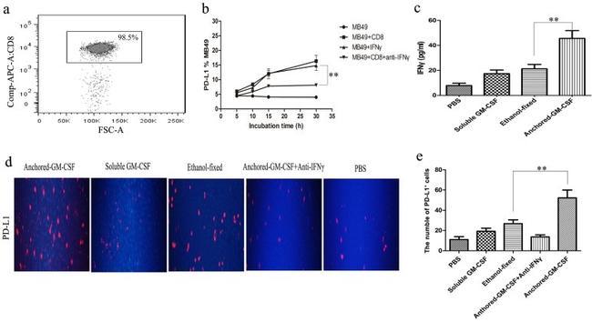 CD8a Antibody in Flow Cytometry (Flow)