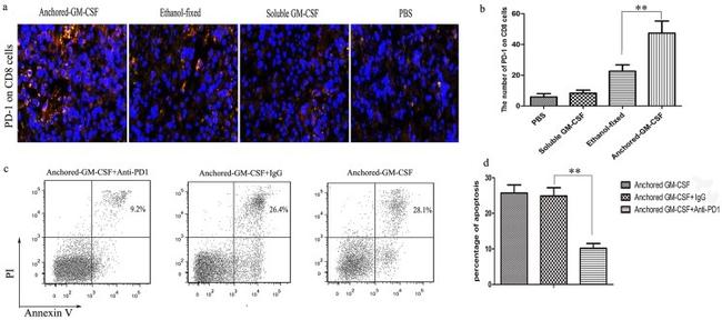 CD279 (PD-1) Antibody in Neutralization (Neu)