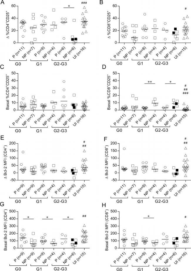 Bcl-2 Antibody in Flow Cytometry (Flow)