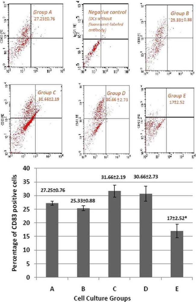 CD83 Antibody in Flow Cytometry (Flow)