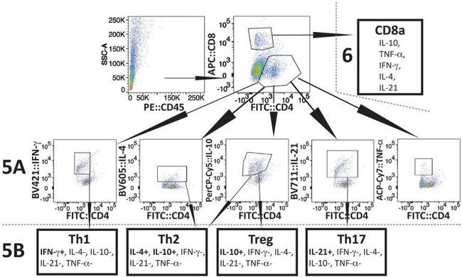 IL-21 Antibody in Flow Cytometry (Flow)