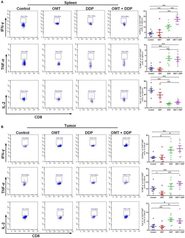 IL-2 Antibody in Flow Cytometry (Flow)