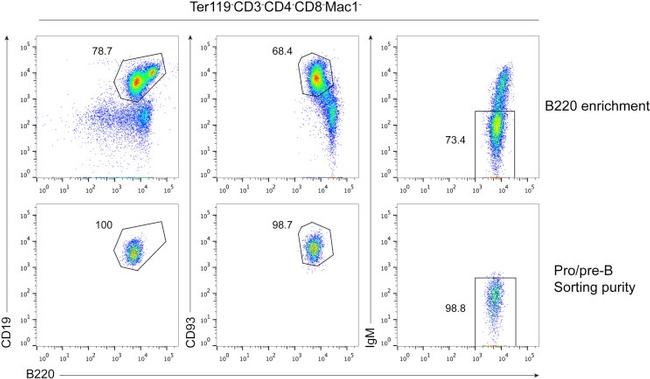 IgM Antibody in Flow Cytometry (Flow)