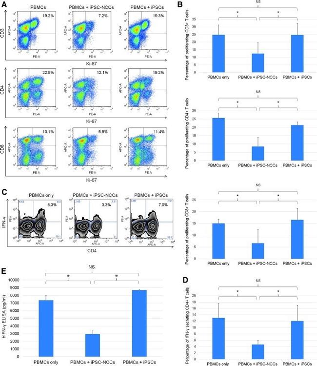 CD8a Antibody in Flow Cytometry (Flow)