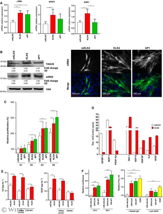 VEGF-165 Antibody in Neutralization (Neu)