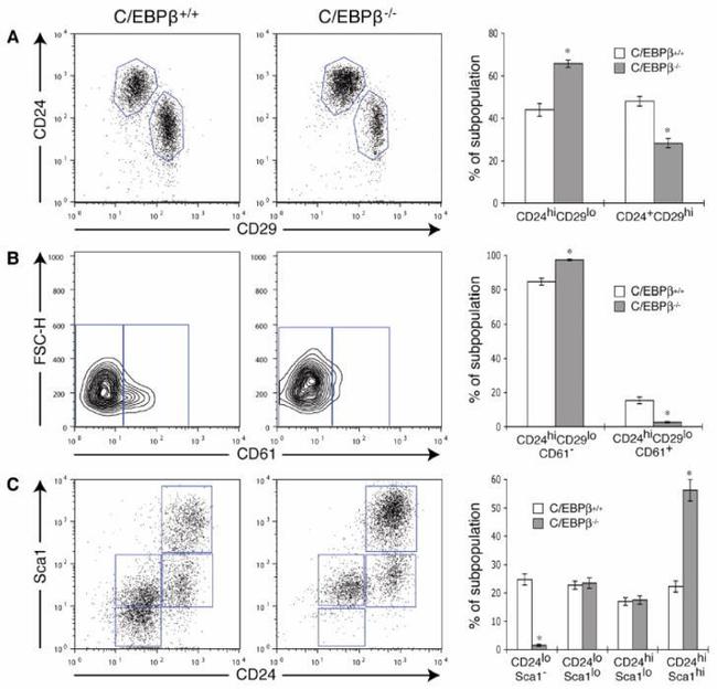 CD140a (PDGFRA) Antibody in Flow Cytometry (Flow)