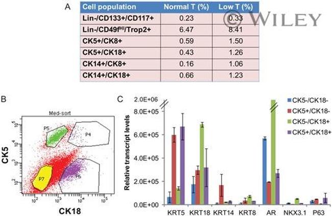 CD117 (c-Kit) Antibody in Flow Cytometry (Flow)