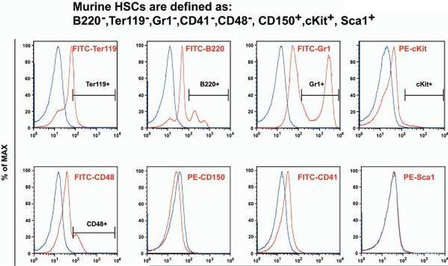 CD41a Antibody in Flow Cytometry (Flow)