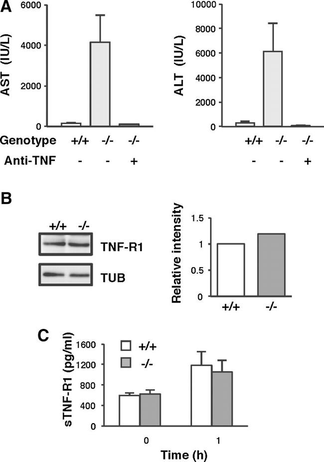 TNF alpha Antibody in Neutralization (Neu)