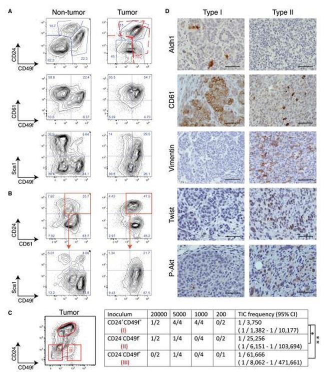 Ly-6A/E (Sca-1) Antibody in Flow Cytometry (Flow)