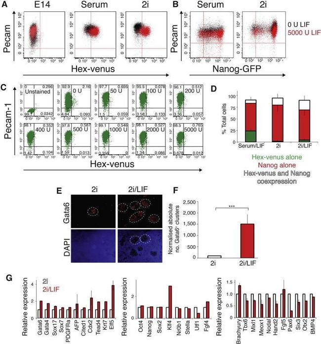 Nanog Antibody in Flow Cytometry (Flow)