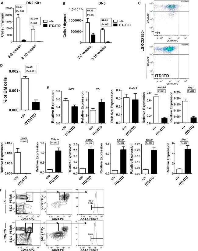 CD24 Antibody in Flow Cytometry (Flow)