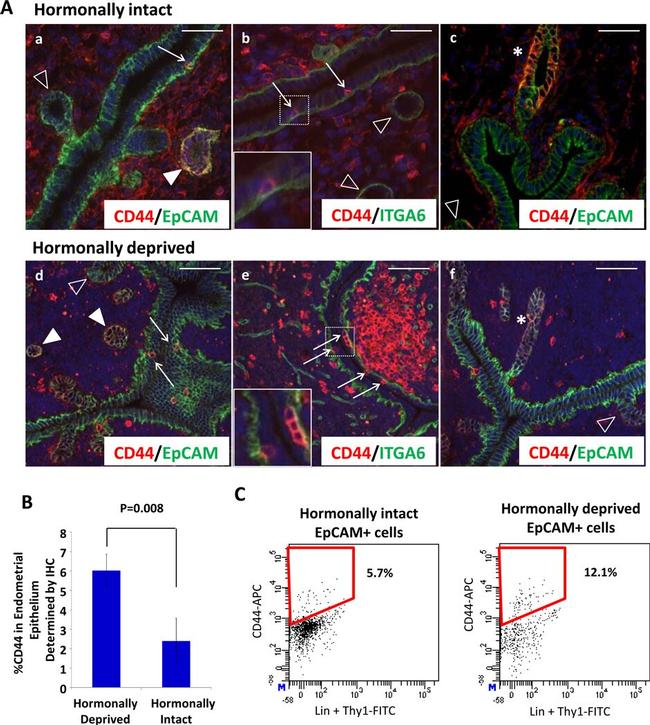 CD44 Antibody in Immunohistochemistry, Flow Cytometry (IHC, Flow)