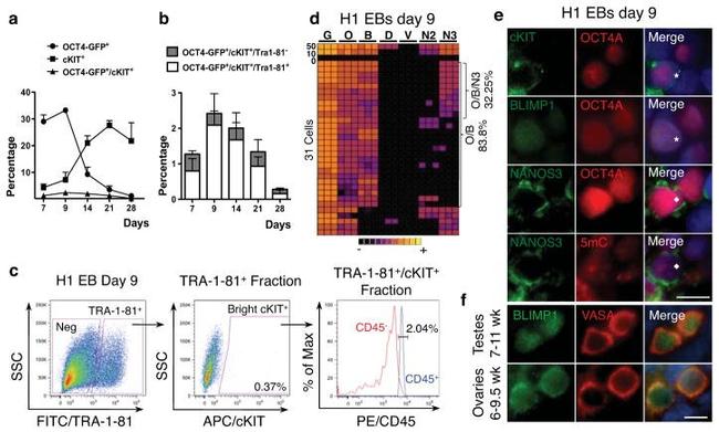 TRA-1-81 (Podocalyxin) Antibody in Flow Cytometry (Flow)