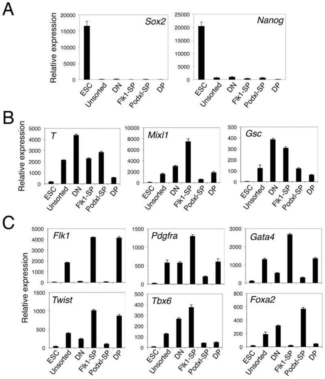 CD309 (FLK1) Antibody in Flow Cytometry (Flow)