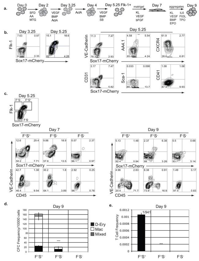 CD31 (PECAM-1) Antibody in Flow Cytometry (Flow)