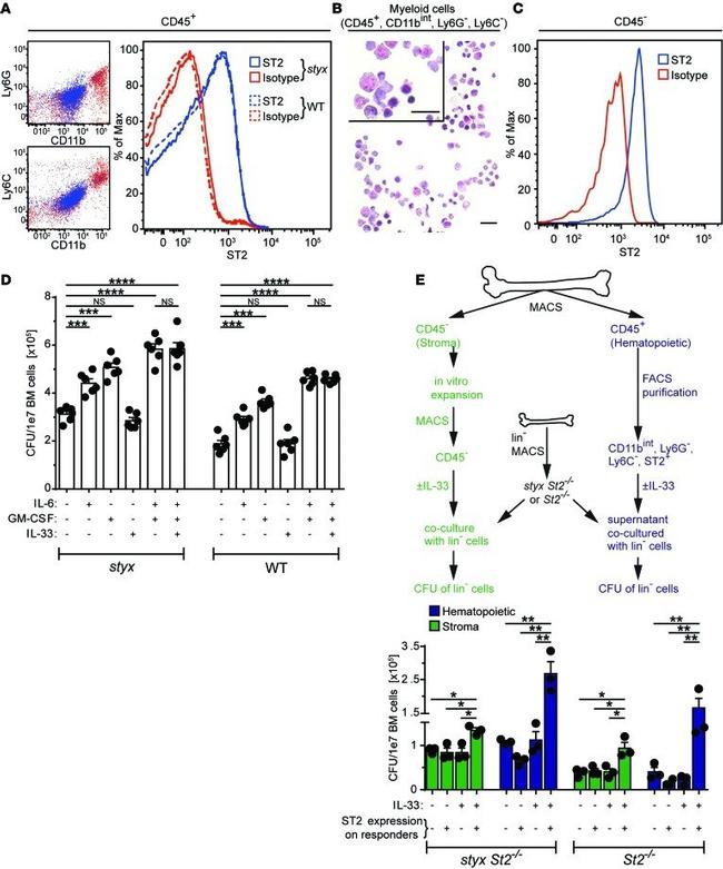 IL-33R (ST2) Antibody in Flow Cytometry (Flow)