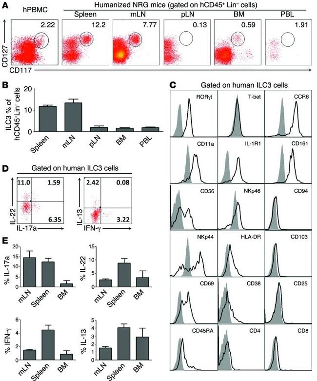 CD56 Antibody in Flow Cytometry (Flow)