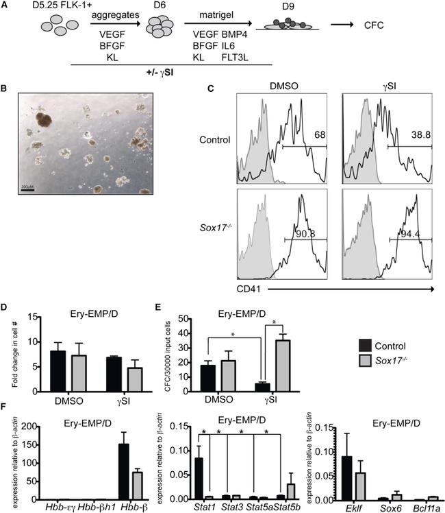 CD41a Antibody in Flow Cytometry (Flow)