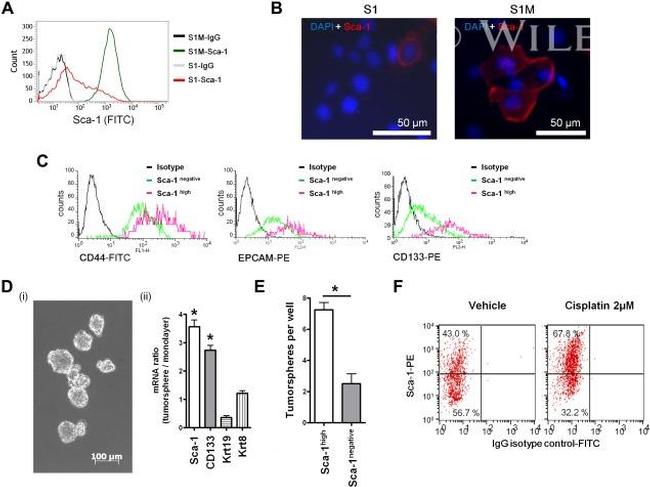 CD133 (Prominin-1) Antibody in Flow Cytometry (Flow)