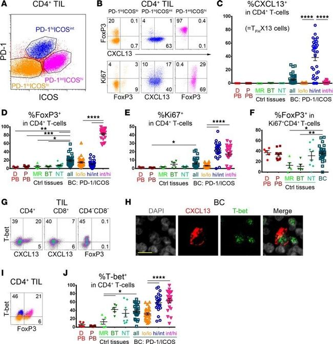 CD278 (ICOS) Antibody in Flow Cytometry (Flow)