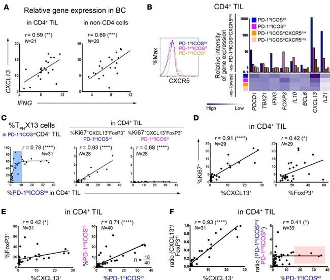 CD278 (ICOS) Antibody in Flow Cytometry (Flow)