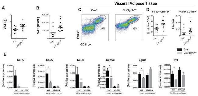 F4/80 Antibody in Flow Cytometry (Flow)