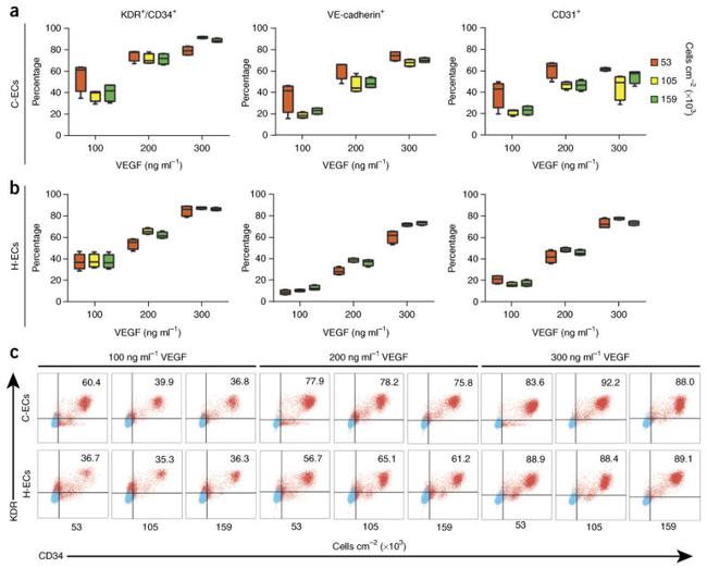 CD144 (VE-cadherin) Antibody in Flow Cytometry (Flow)