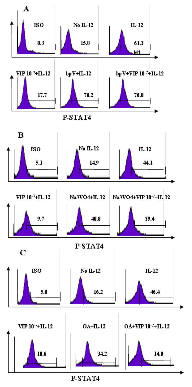 Phospho-STAT4 (Tyr693) Antibody in Flow Cytometry (Flow)