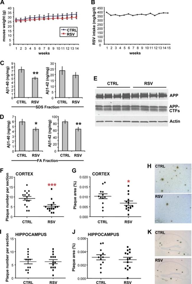 Amyloid Precursor Protein Antibody in ELISA (ELISA)