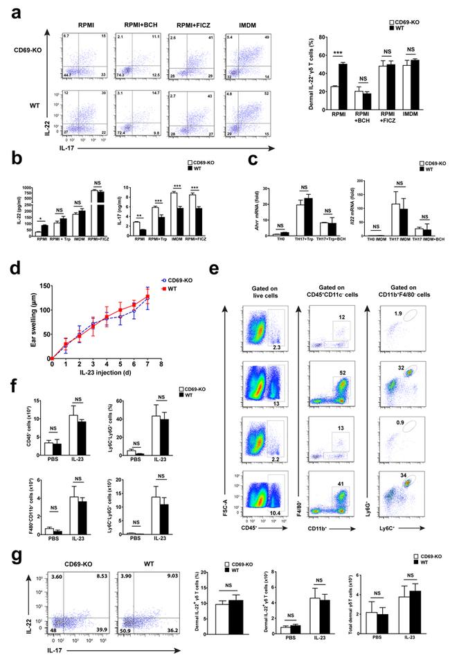 IL-22 Antibody in Flow Cytometry (Flow)