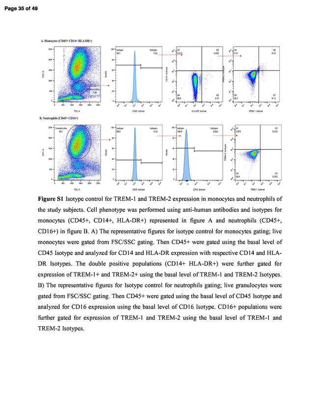 CD45 Antibody in Flow Cytometry (Flow)