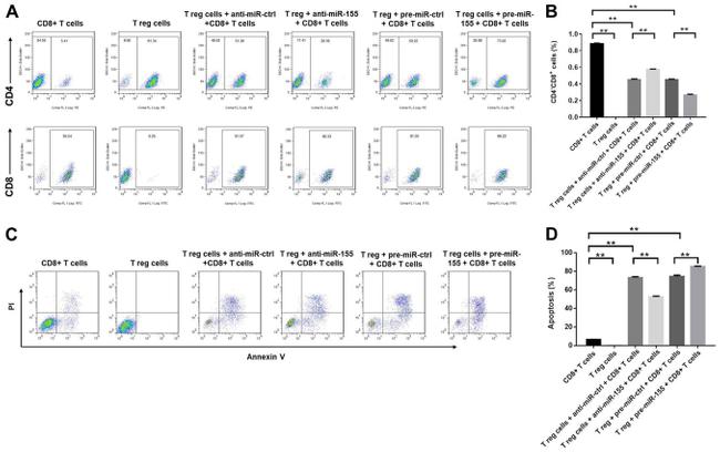 CD8 Antibody in Flow Cytometry (Flow)