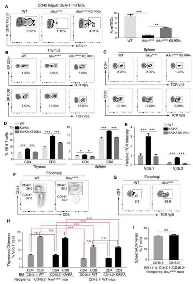 CD3e Antibody in Flow Cytometry (Flow)