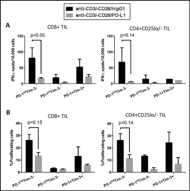 CD279 (PD-1) Antibody in Flow Cytometry (Flow)