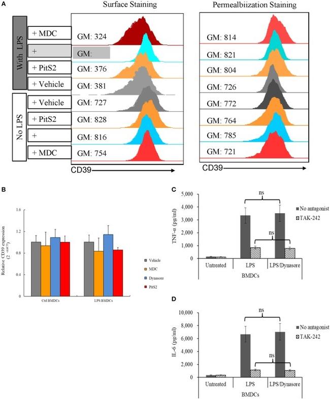 CD39 Antibody in Flow Cytometry (Flow)