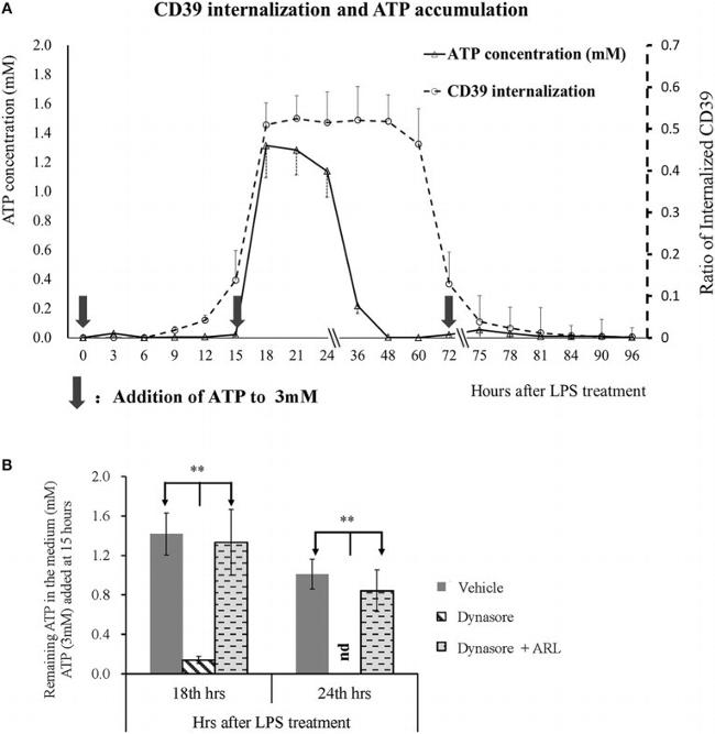 CD39 Antibody in Flow Cytometry (Flow)