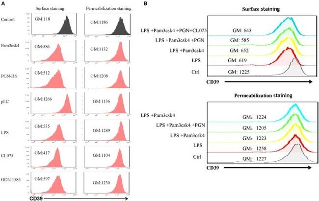 CD39 Antibody in Flow Cytometry (Flow)