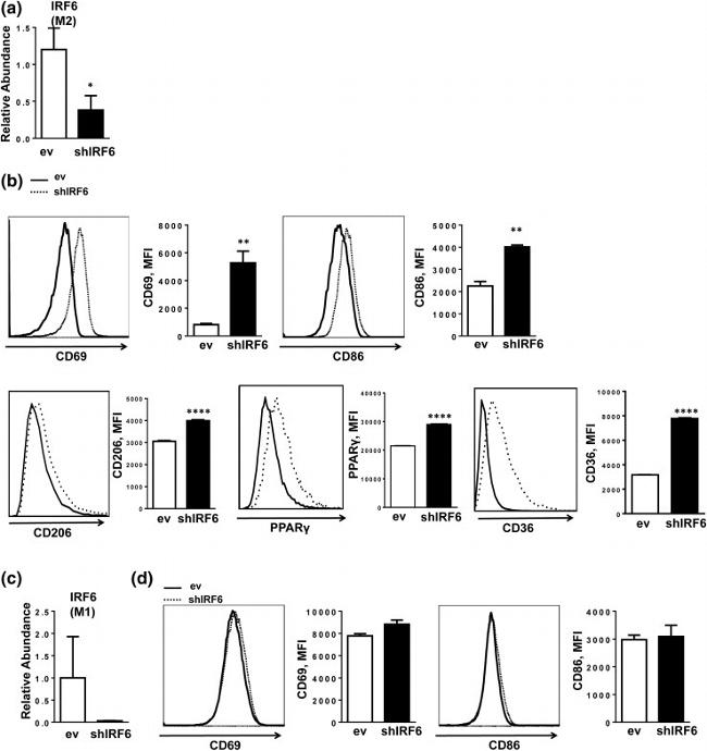 CD69 Antibody in Flow Cytometry (Flow)