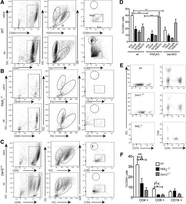 CD4 Antibody in Flow Cytometry (Flow)