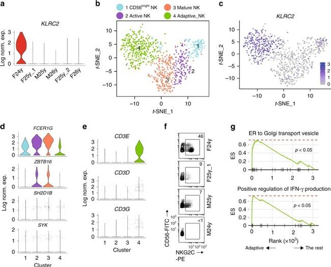 CD56 (NCAM) Antibody in Flow Cytometry (Flow)