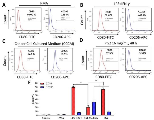 CD206 (MMR) Antibody in Flow Cytometry (Flow)