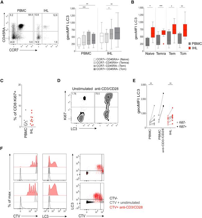 CD3 Antibody in T-Cell Activation (TCA)