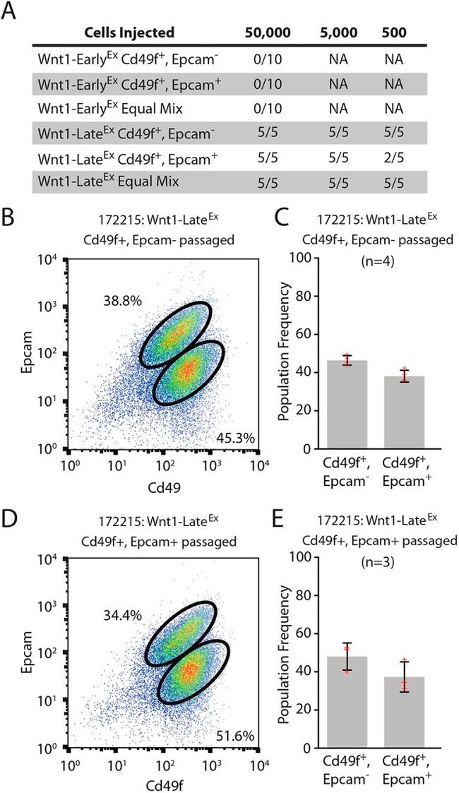 CD326 (EpCAM) Antibody in Flow Cytometry (Flow)