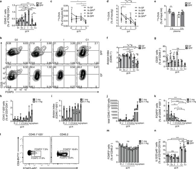 FOXP3 Antibody in Flow Cytometry (Flow)