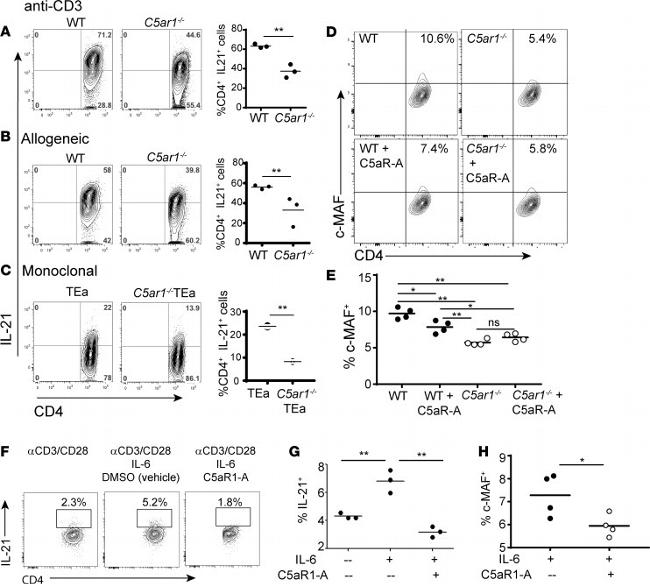 IL-21 Antibody in Flow Cytometry (Flow)